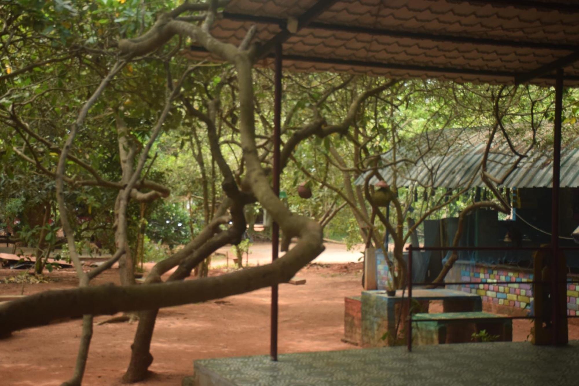 Hotel Travellers Crib Auroville Exteriér fotografie